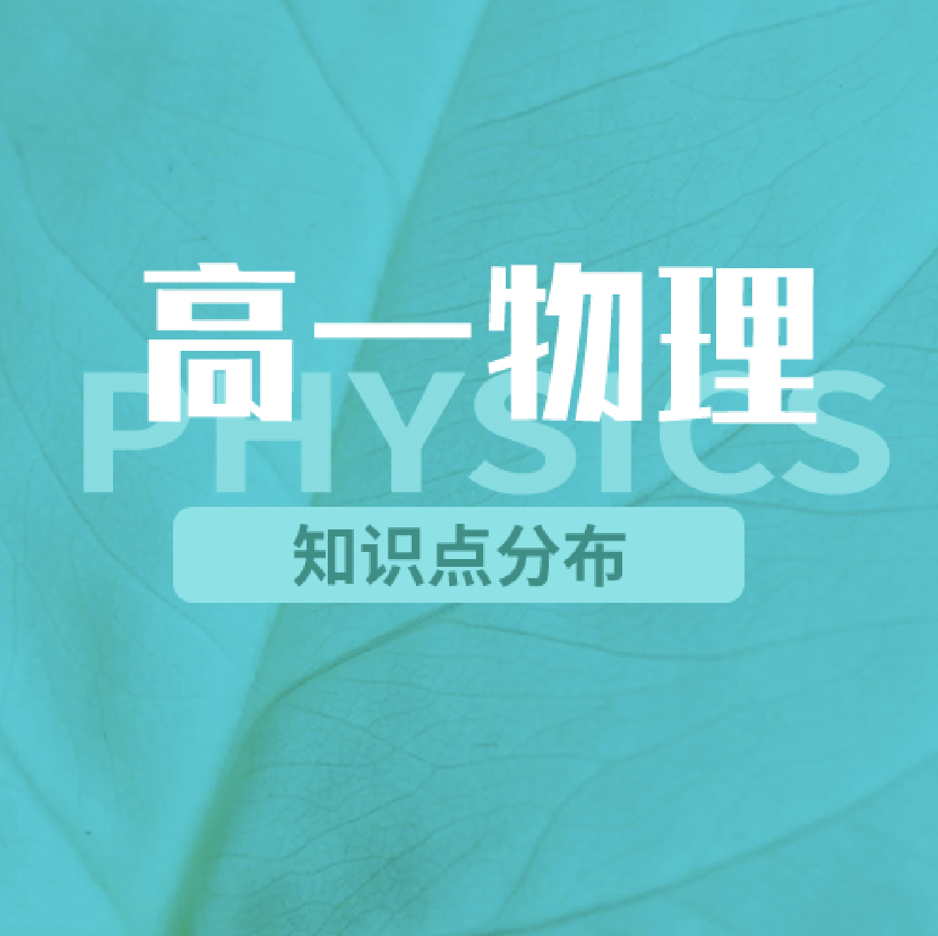 高中物理必修1知识点清单